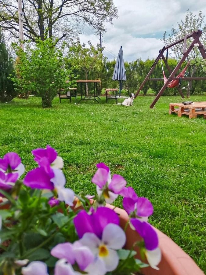 Gacka-Beautiful Place In Nature Otočac Eksteriør billede